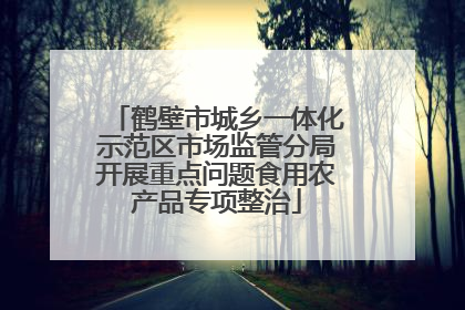 鹤壁市城乡一体化示范区市场监管分局开展重点问题食用农产品专项整治