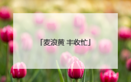 麦浪黄 丰收忙