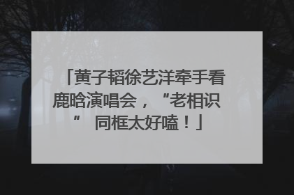 黄子韬徐艺洋牵手看鹿晗演唱会，“老相识” 同框太好嗑！