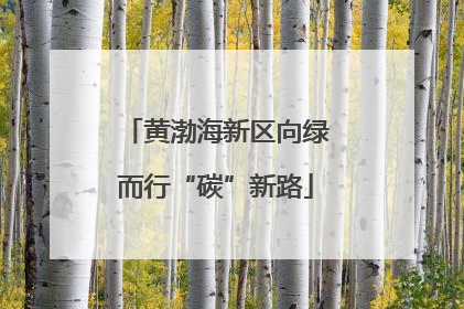 黄渤海新区向绿而行“碳”新路