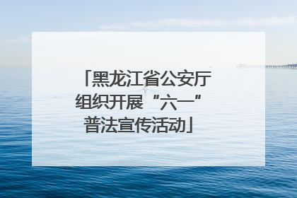 黑龙江省公安厅组织开展“六一”普法宣传活动