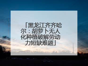 黑龙江齐齐哈尔：胡萝卜无人化种植破解劳动力短缺难题