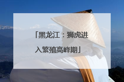 黑龙江：狮虎进入繁殖高峰期