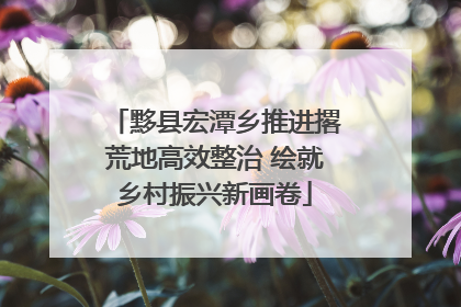 黟县宏潭乡推进撂荒地高效整治 绘就乡村振兴新画卷