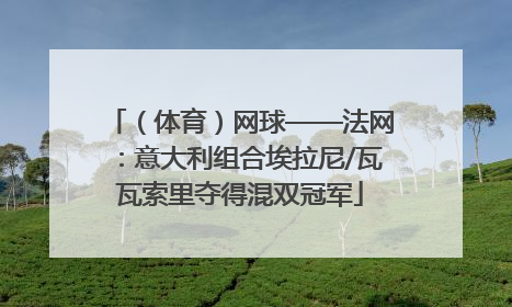 （体育）网球——法网：意大利组合埃拉尼/瓦瓦索里夺得混双冠军
