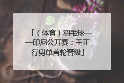 （体育）羽毛球——印尼公开赛：王正行男单首轮晋级