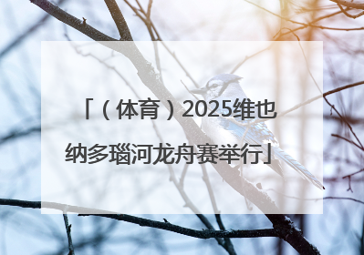 （体育）2025维也纳多瑙河龙舟赛举行