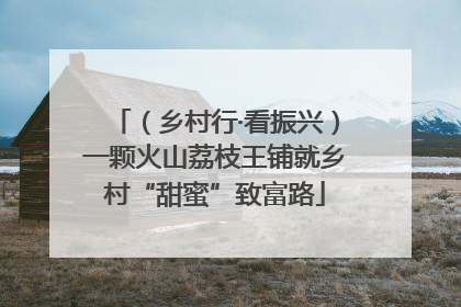 （乡村行·看振兴）一颗火山荔枝王铺就乡村“甜蜜”致富路