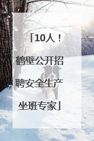 10人！鹤壁公开招聘安全生产坐班专家