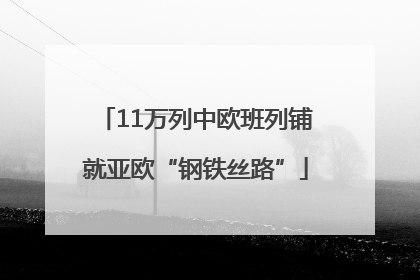 11万列中欧班列铺就亚欧“钢铁丝路”