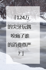 124万的尖牙玩偶 咬痛了谁的消费尊严？