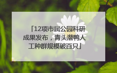 12项市属公园科研成果发布，青头潜鸭人工种群规模破百只