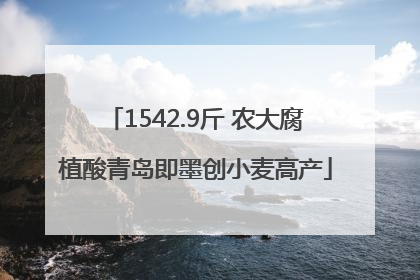 1542.9斤 农大腐植酸青岛即墨创小麦高产