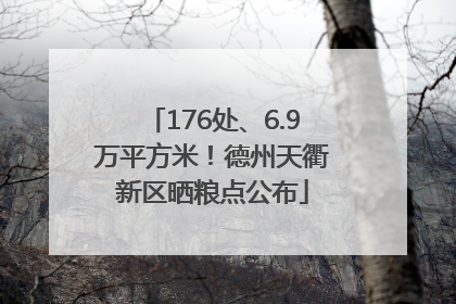 176处、6.9万平方米！德州天衢新区晒粮点公布