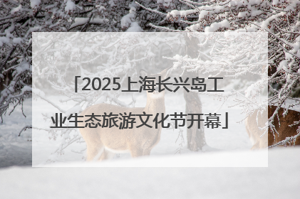 2025上海长兴岛工业生态旅游文化节开幕