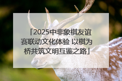 2025中非象棋友谊赛联动文化体验 以棋为桥共筑文明互鉴之路