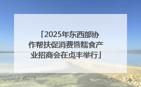2025年东西部协作帮扶促消费暨糯食产业招商会在贞丰举行