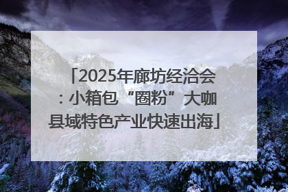 2025年廊坊经洽会：小箱包“圈粉”大咖 县域特色产业快速出海