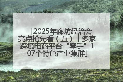 2025年廊坊经洽会亮点抢先看（五）丨多家跨境电商平台“牵手”107个特色产业集群