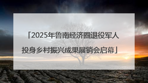 2025年鲁南经济圈退役军人投身乡村振兴成果展销会启幕