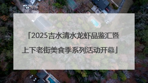 2025吉水清水龙虾品鉴汇暨上下老街美食季系列活动开幕