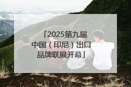 2025第九届中国（印尼）出口品牌联展开幕
