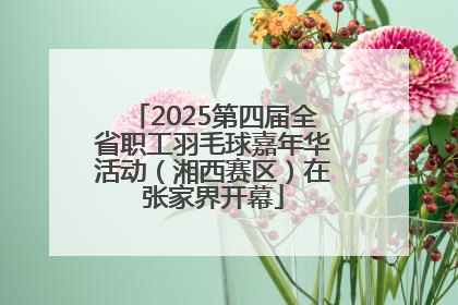 2025第四届全省职工羽毛球嘉年华活动（湘西赛区）在张家界开幕