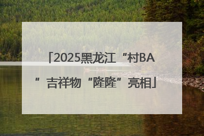 2025黑龙江“村BA”吉祥物“隆隆”亮相