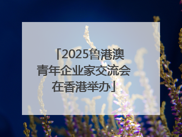 2025鲁港澳青年企业家交流会在香港举办