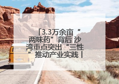 3.3万余亩“两味药”背后 沙湾重点突出“三性”推动产业实践丨新闻发布最前线