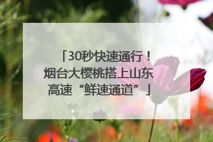 30秒快速通行！烟台大樱桃搭上山东高速“鲜速通道”