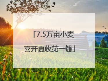 7.5万亩小麦喜开夏收第一镰