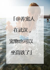 @养宠人 在武汉，宠物也可以坐高铁了
