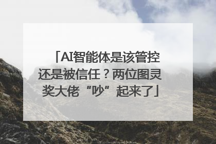 AI智能体是该管控还是被信任？两位图灵奖大佬“吵”起来了