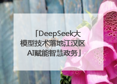 DeepSeek大模型技术落地江汉区 AI赋能智慧政务