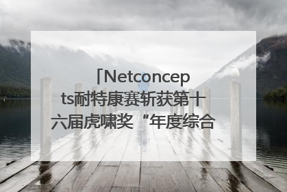 Netconcepts耐特康赛斩获第十六届虎啸奖“年度综合服务商”大奖