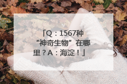 Q：1567种“神奇生物”在哪里？A：海淀！